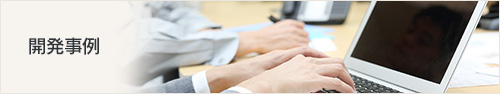 開発事例